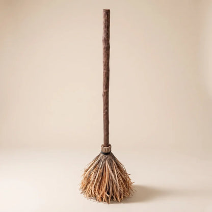 The Magic Broom
