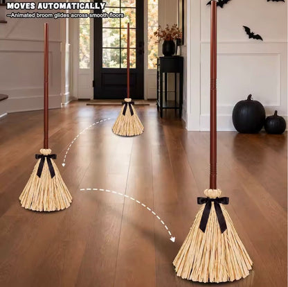 The Magic Broom